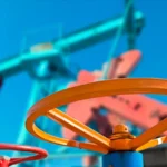 Biomicrogens for water purification from oils